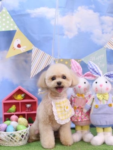 20240317むぎちゃん